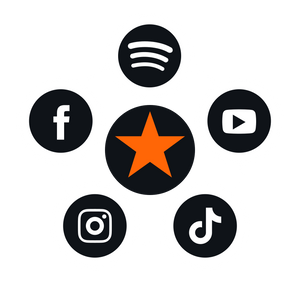 Artist Standard - 5 platforms in one pack